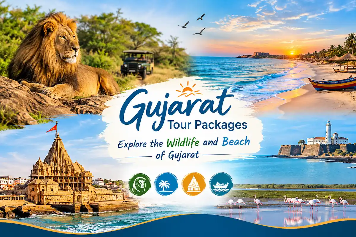 Gujarat Tour Packages: Explore the Wildlife and Beach of Gujarat